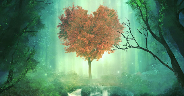 Cele 4 caracteristici ale iubirii adevarate