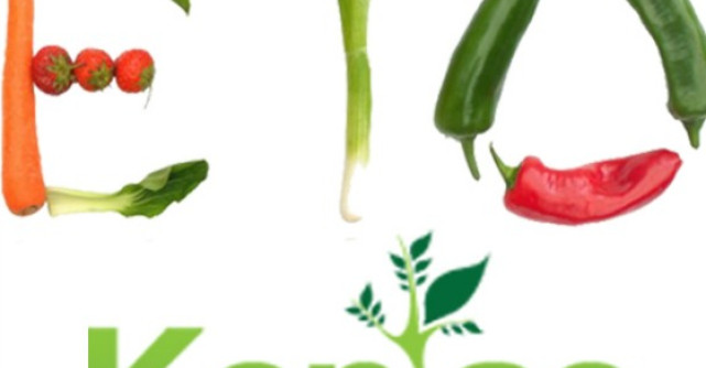 Modalitati de detoxifiere a organismului: Nosugarshop te pregateste de venirea primaverii