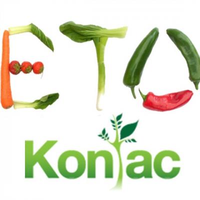 Modalitati de detoxifiere a organismului: Nosugarshop te pregateste de venirea primaverii