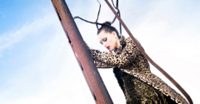 Winter in the forest