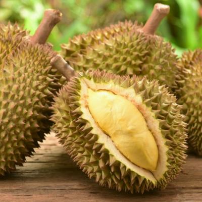 Fructul urât mirositor în care se ascunde o adevărată comoară