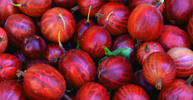 Care sunt fructele cu putine calorii?