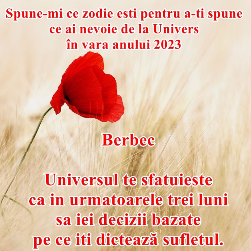Spune-mi ce zodie ești pentru a îți spune de ce ai nevoie de la Univers în vara anului 2023