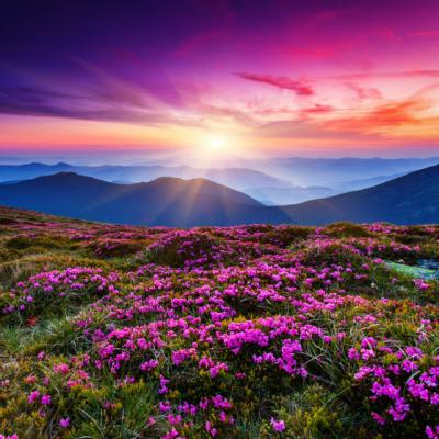 Romania in haine de primavara: Un anotimp al frumusetii