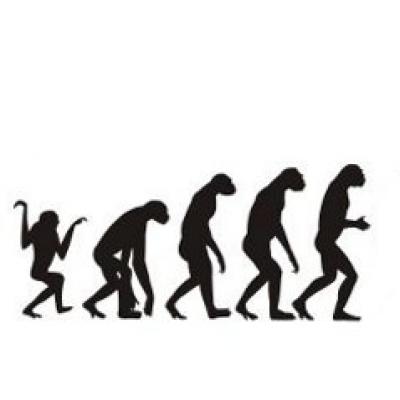 Cum au evoluat creierul si penisul uman de-a lungul timpului?