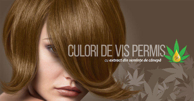 LONCOLOR lansează gama de vopsea permanentă LONCOLOR EXPERT HEMPStyle și serviciul de livrare la domiciliu