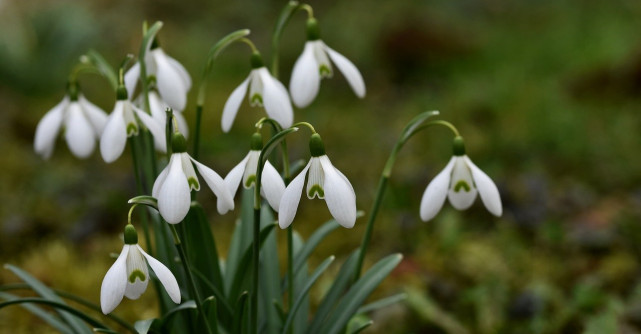 Iubirea de sine este cel mai frumos mărtișor pe care îl porți purta în suflet