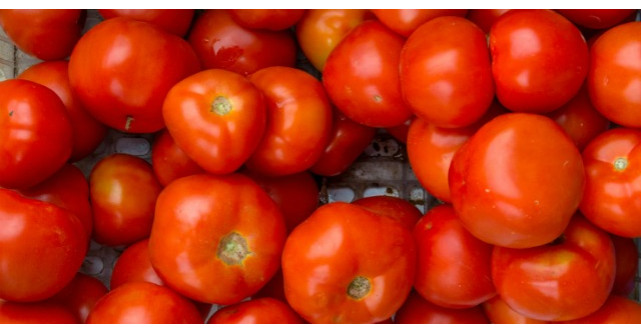 Cum alegi rosiile sanatoase?