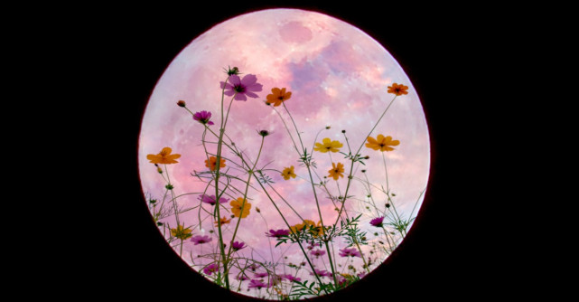 Cele trei daruri ale lunii martie