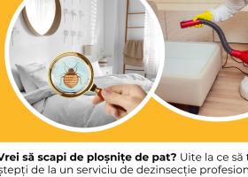 Vrei să scapi de ploșnițe de pat? Uite la ce să te aștepți de la un serviciu de dezinsecție profesionist