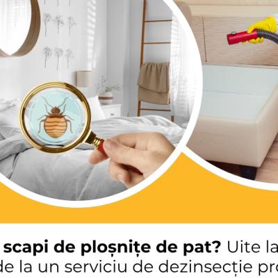 Vrei să scapi de ploșnițe de pat? Uite la ce să te aștepți de la un serviciu de dezinsecție profesionist