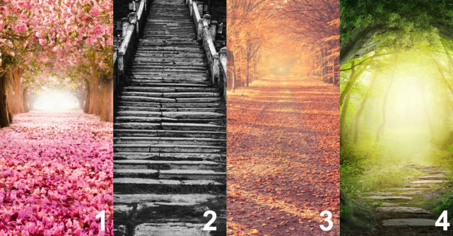 Cararea pe care o alegi iti dezvaluie personalitatea si viitorul