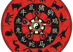 Ce animal te reprezinta in zodiacul chinezesc