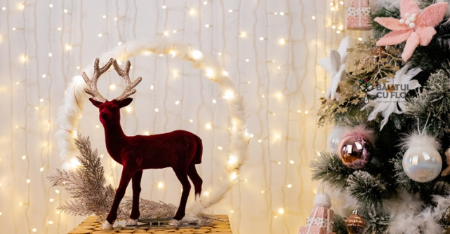 Coronite de Craciun din materiale inedite de la Baiatul cu Flori