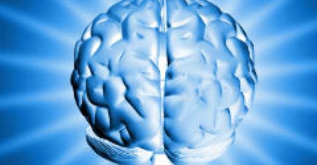 TEST: Care este partea dominanta a creierului tau?