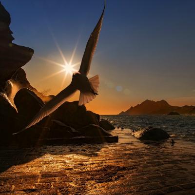 Cele 7 trasaturi de caracter ale unui spirit liber