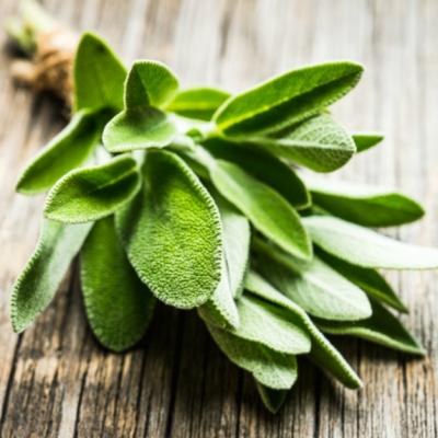 Beneficiile uimitoare ale salviei