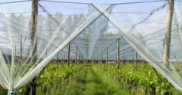 Vrei să pornești o afacere profitabilă? Investete in echipamente sere si solarii!