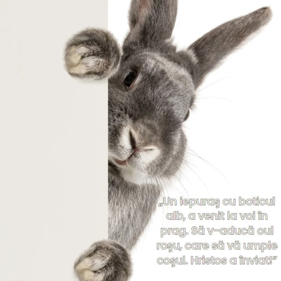 Mesaje de Paște. Urări, SMS-uri și felicitări pe care să le trimiți oamenilor dragi cu ocazia Paștelui