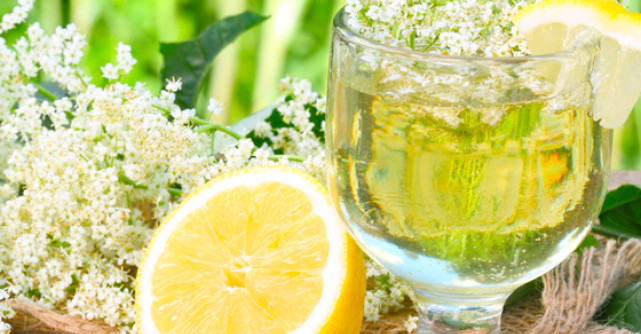 Cea mai buna reteta de SOCATA