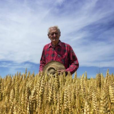 Ce ar fi viata daca nu am avea curajul sa riscam ceva?