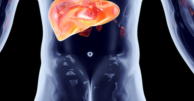 Detoxifierea ficatului in 9 zile dupa metoda Holford