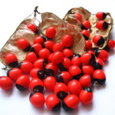 Din misterele vracilor: Terapia cu seminte