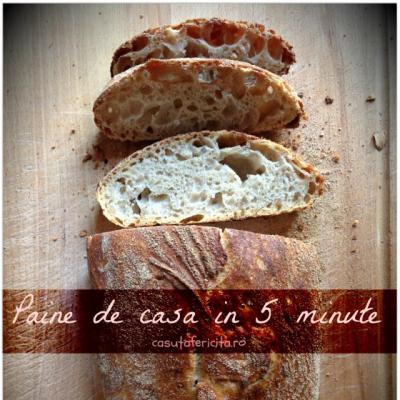 Paine de casa, in 5 minute!
