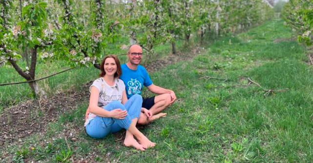 Secretul din spatele unei livezi de cireșe bio:  de la sol viu la agricultură regenerativă
