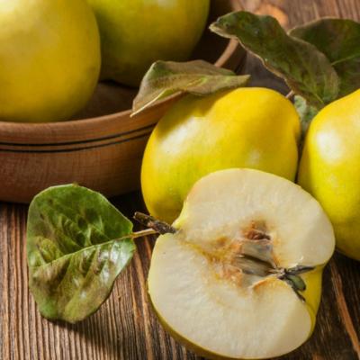 Beneficiile frunzelor de gutui pentru sanatate