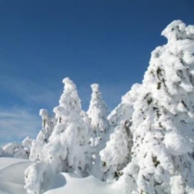 Cele mai bune oferte pentru statiunile de schi din Austria