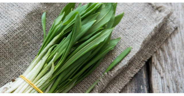 Leurda, planta minunata care vindeca o multime de boli