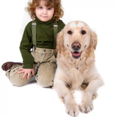 Problema cainilor maidanezi: eutanasie versus sterilizare