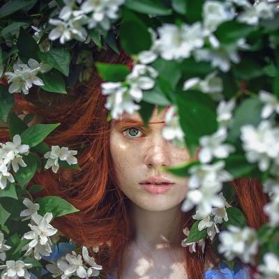 Cum sa-ti faci acasa un scrub natural pentru scalp, care promoveaza cresterea sanatoasa a parului