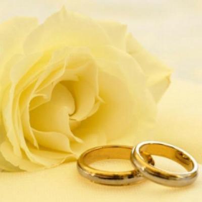 Porumbeii din Twilight vor sa se casatoreasca