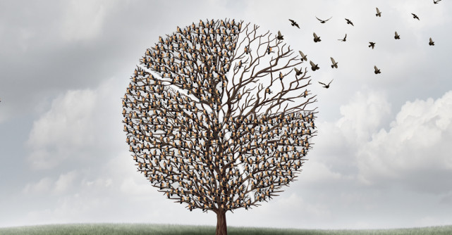 Foto: El este cel mai iubit Print din lume