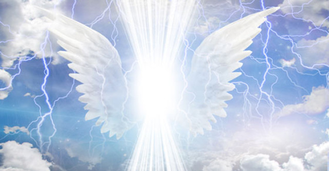 Cele 7 ADEVARURI FUNDAMENTALE despre viata si boli