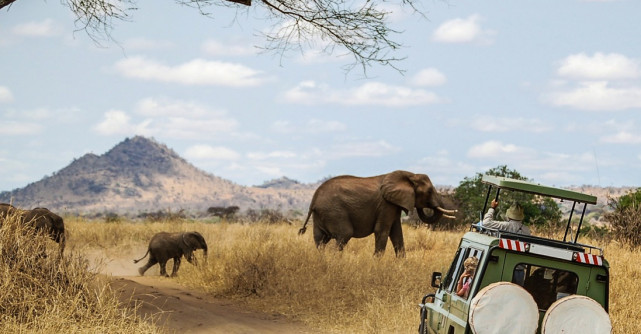 Zanzibar: Aventuri incredibile și descoperiri uimitoare în inima Africii