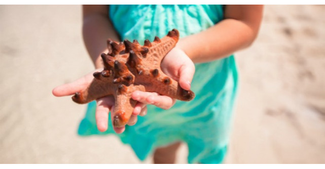 O poveste despre cum lucrurile mici pot face diferenta. Trebuie sa o cititi si voi