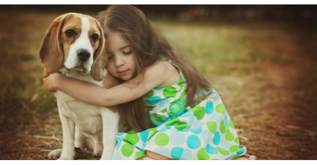 Scrisoare pentru toti cei care au suferit in aceasta viata