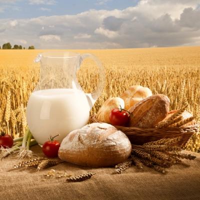 Top 5 cele mai eficiente diete