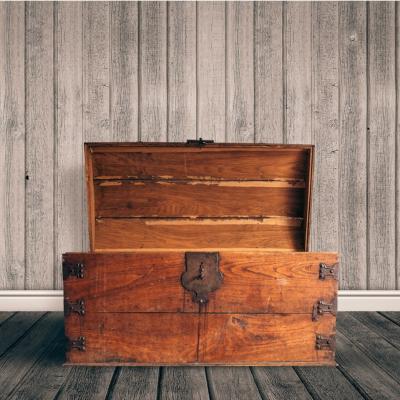 Cufere depozitare pentru comori ascunse la vedere