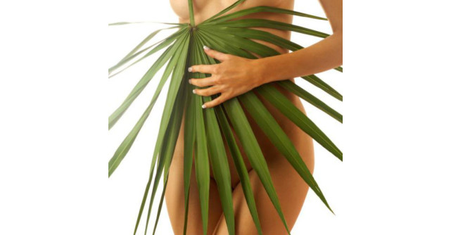 5 Tratamente intensive pe baza de plante pentru SLABIRE