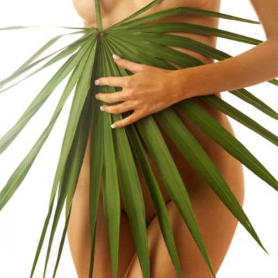 5 Tratamente intensive pe baza de plante pentru SLABIRE