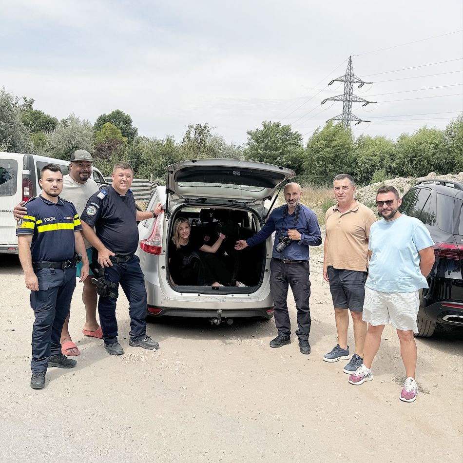 Andreea Ibacka și-a găsit câinii! Anunțul său a fost distribuit în număr mare: Din toată inima noastră vă rugăm să ne ajutați...