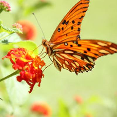 Top 10 Cele mai mari frici umane