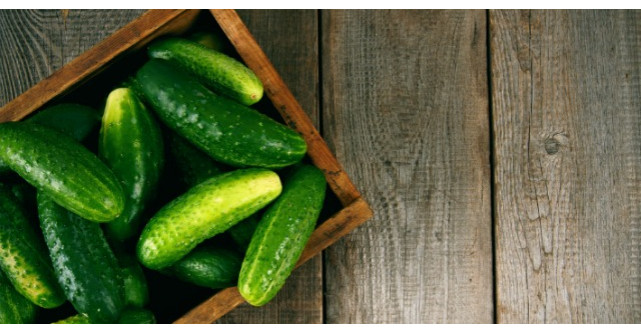 Castravetii, beneficii incredibile pentru sanatate