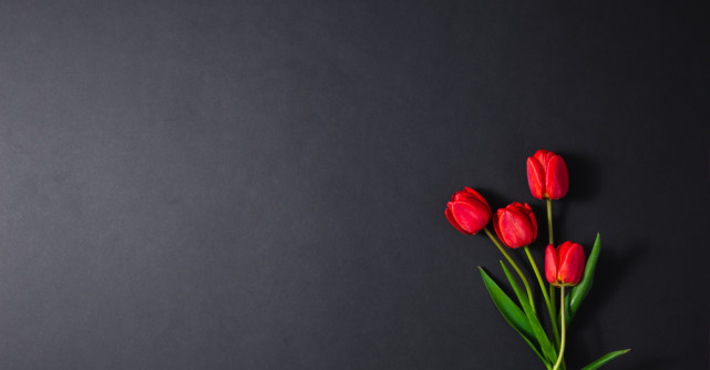 Tina Turner le-a spus lui Cher și lui Oprah că este pregătită să moară. Ultimele cuvinte ale legendarei Tina Turner