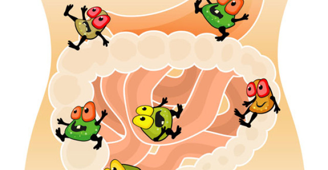 Ajutor: Dusmanii invizibili ai sanatatii