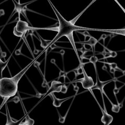 6 Pasi pentru sanatatea creierului